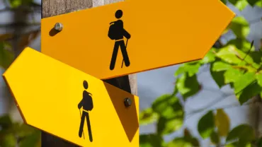 Yellow hiking trail signs with silhouettes of hikers in a forest.